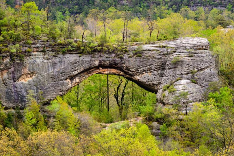 Big South Fork Trail Lodge Stearns 外观 照片